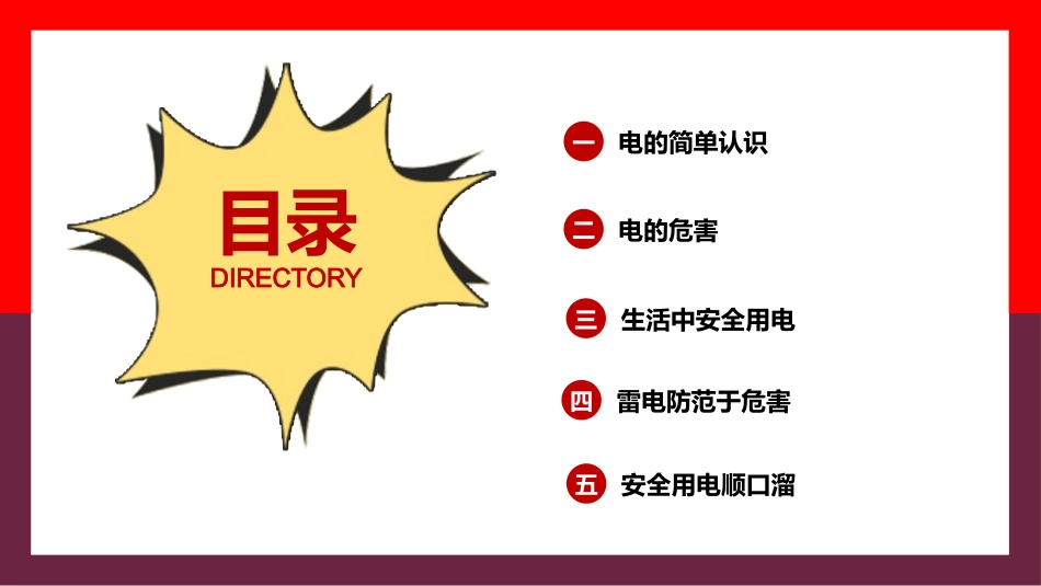 用电安全知识1.pptx_第2页