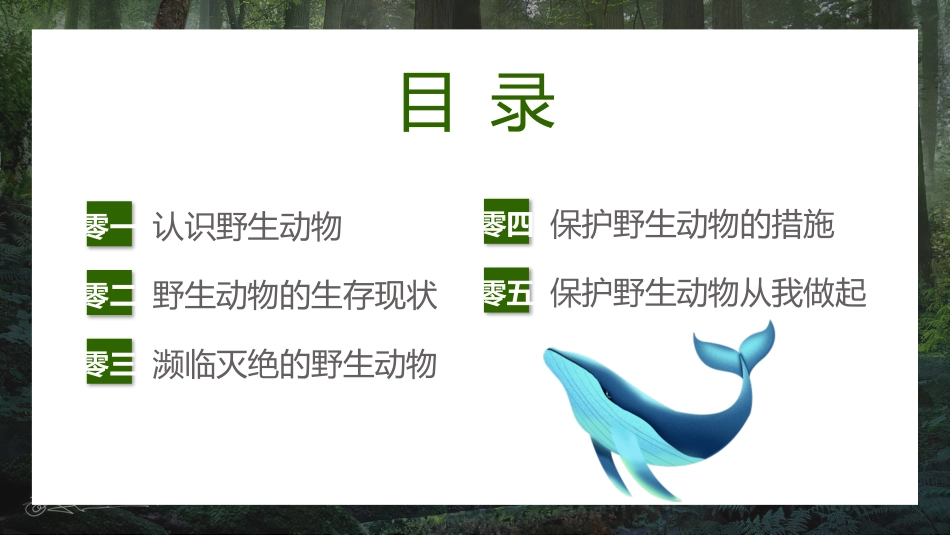 世界动物日 保护动物 保护野生动物模板12.pptx_第2页