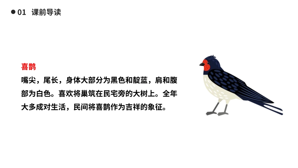 人教版一年级语文下册树和喜鹊课件.pptx_第3页