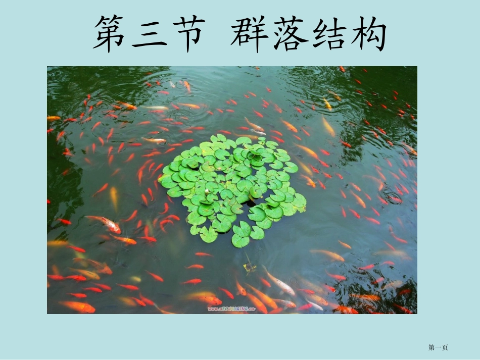 群落的结构文生物必修名师优质课赛课一等奖市公开课获奖课件.pptx_第1页