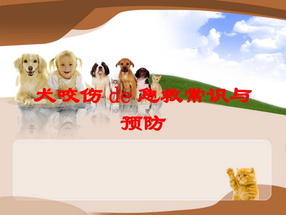 犬咬伤的急救常识与预防培训课件.pptx_第1页