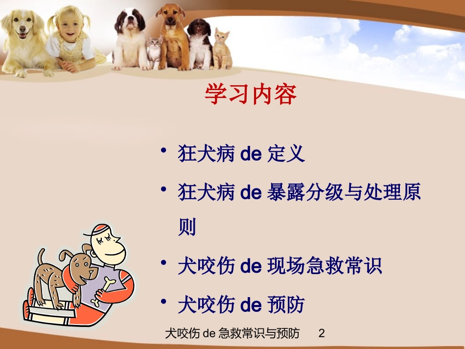 犬咬伤的急救常识与预防培训课件.pptx_第2页