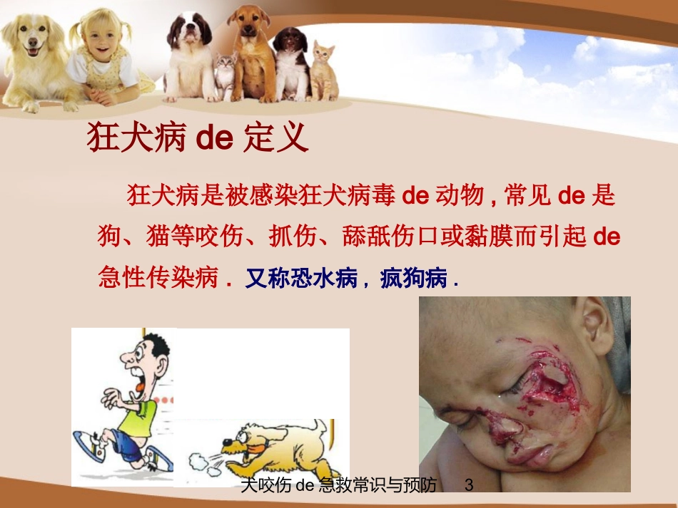 犬咬伤的急救常识与预防培训课件.pptx_第3页