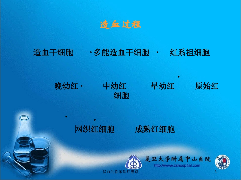 贫血的临床诊疗思路培训课件.pptx_第3页