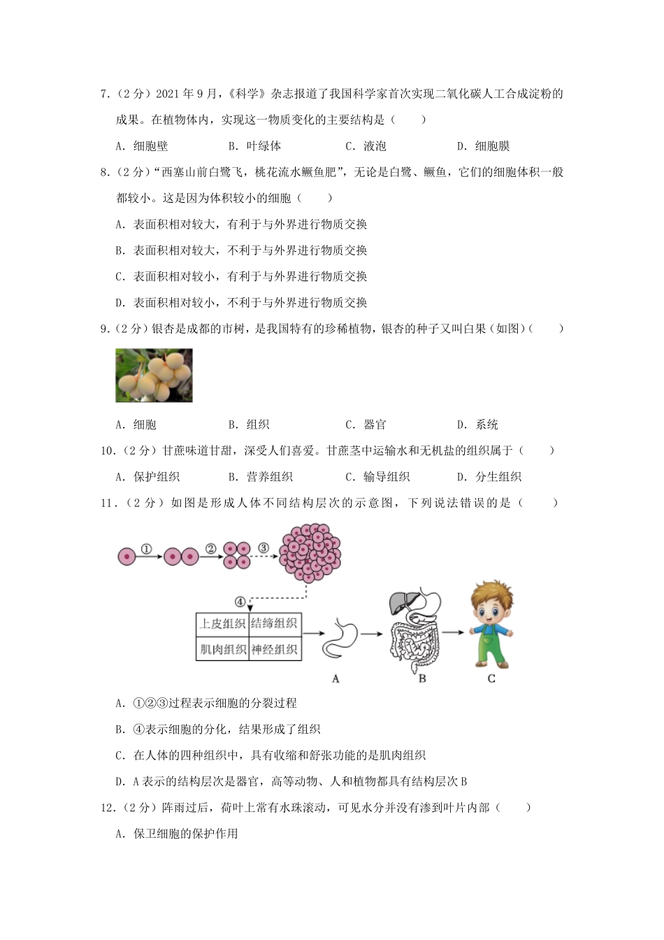 2023-2024学年四川成都高新区七年级上册生物期末试卷及答案.pdf_第2页