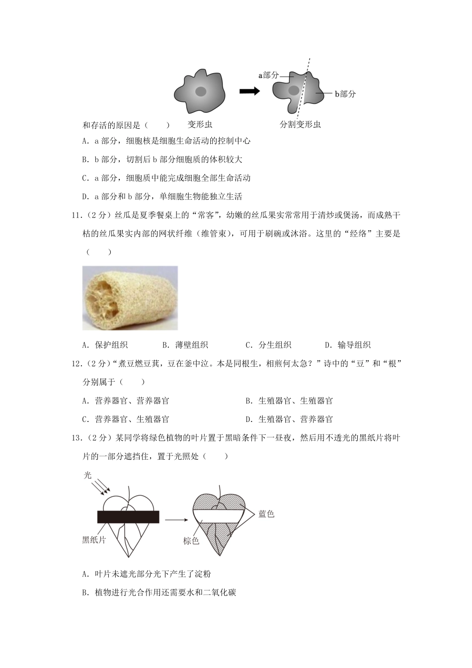 2023-2024学年四川成都双流区七年级上册生物期末试卷及答案.pdf_第3页