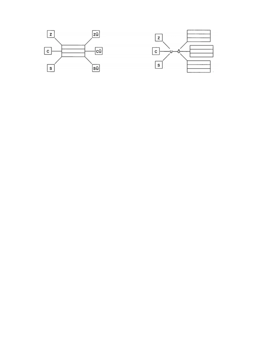 2024版新教材 7 z c s 同步练习(含答案) 统编版一年级语文上册.pdf_第2页