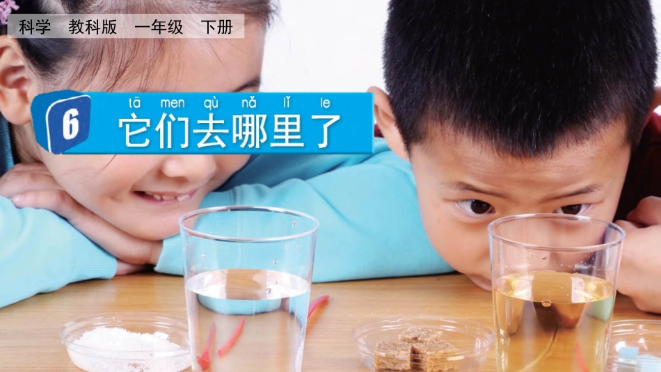 教科版一年级科学下册《它们去哪了》课件1.pptx_第1页