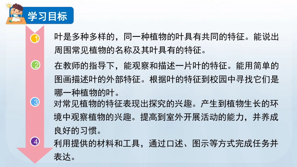 教科版科学一年级上册《这是谁的叶》教学课件.pptx_第3页