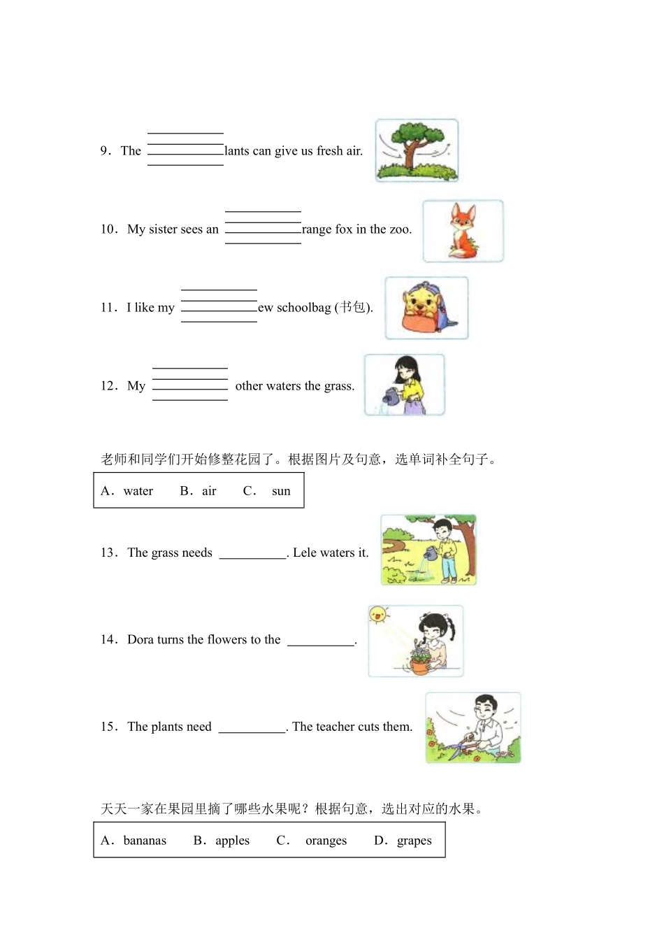 Unit 4 Plants around us 题型专练 填空+选择人教PEP版2024含答案.pdf_第2页