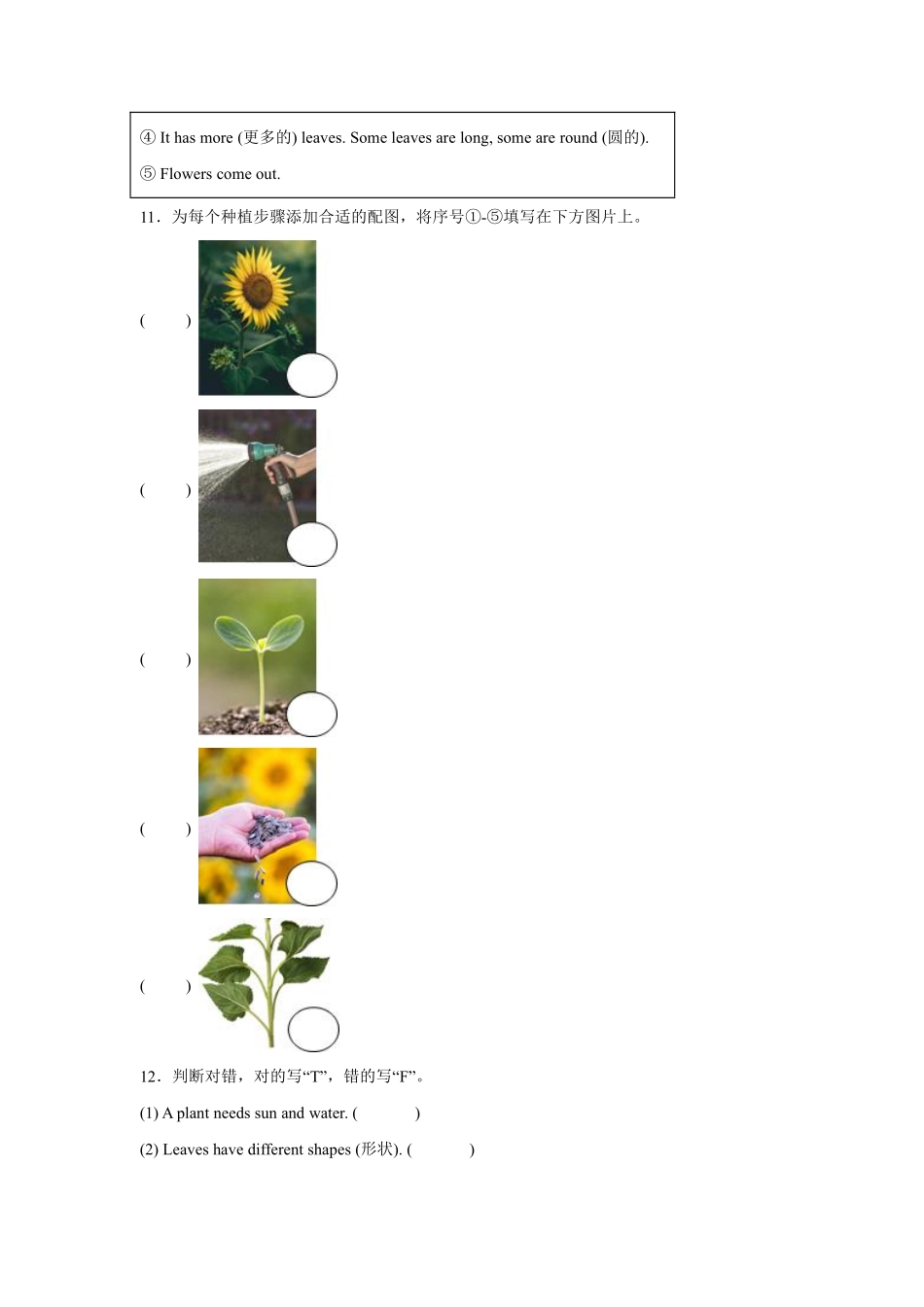 Unit 4 Plants around us 题型专练 阅读理解人教PEP版2024含答案.pdf_第3页