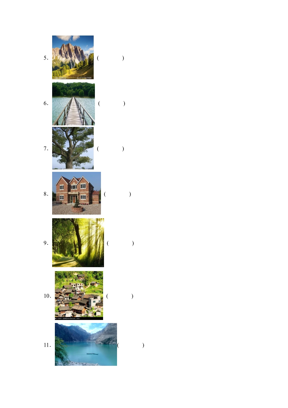 Unit 6 In a nature park 题型专练 匹配人教PEP版2024英语含答案.pdf_第2页