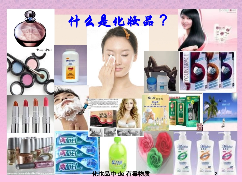 化妆品中的有毒物质培训课件.pptx_第2页