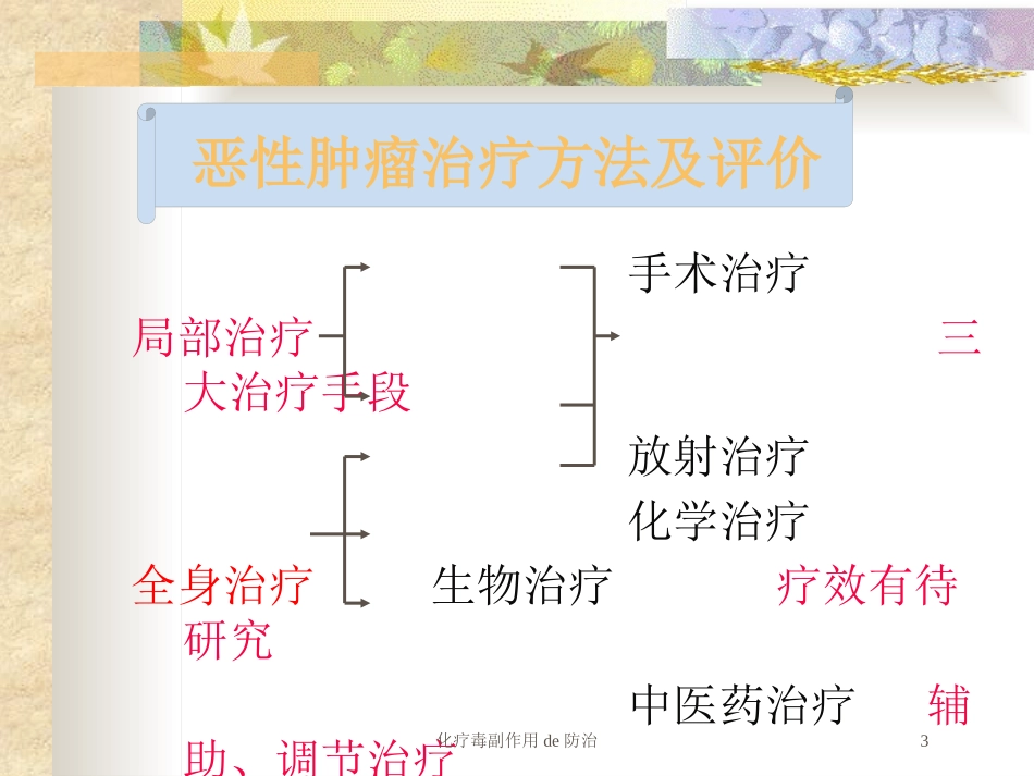 化疗毒副作用的防治培训课件.pptx_第3页