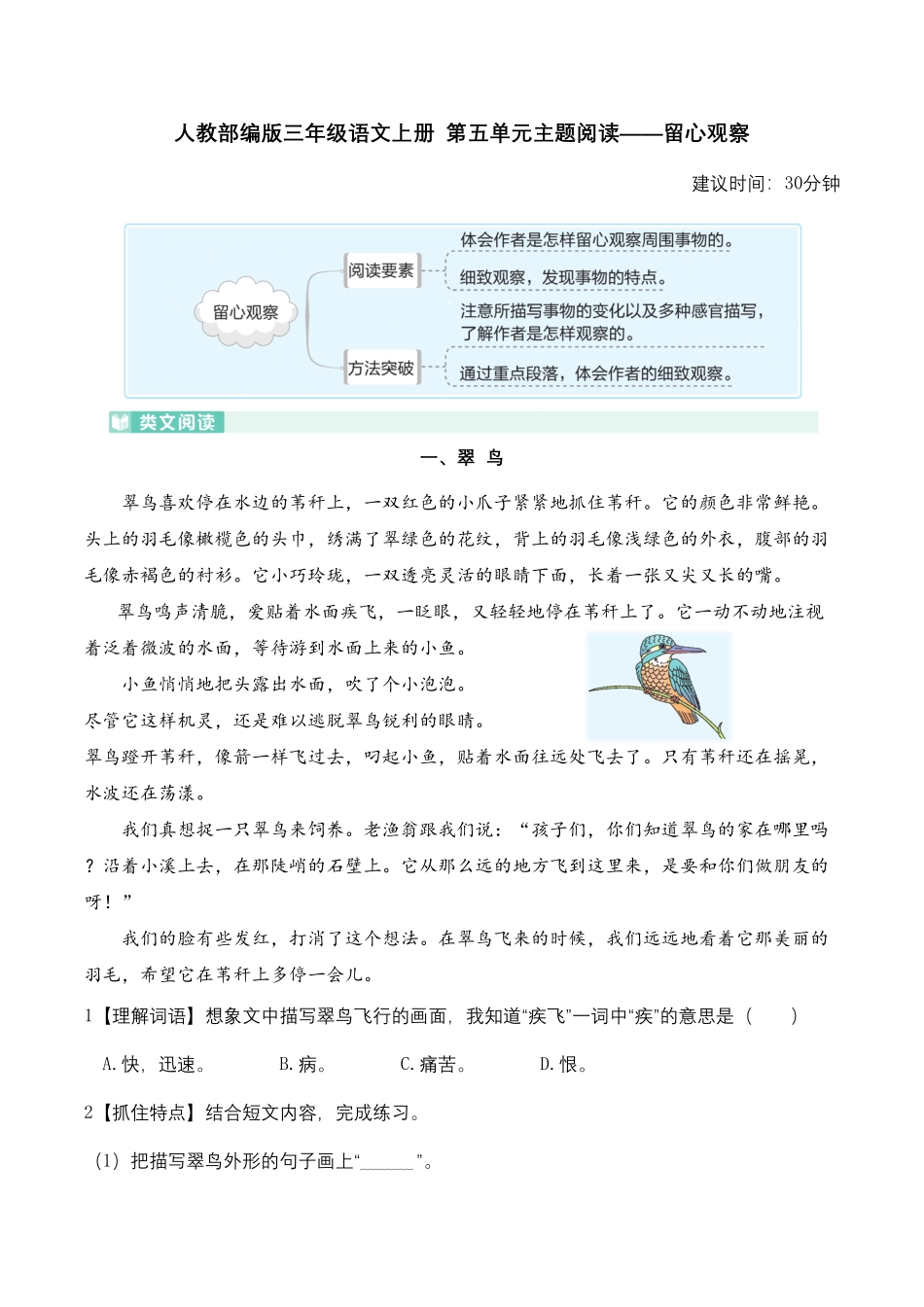 部编版人教三年级语文上册第五单元主题阅读——留心观察含答案及详细解析.pdf_第1页