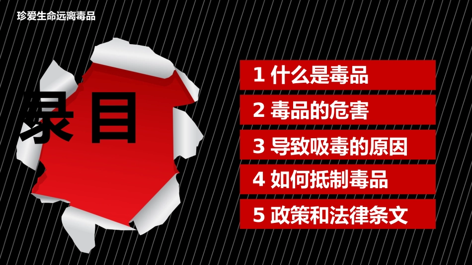 国际禁毒日-禁毒知识宣传教育16.pptx_第3页