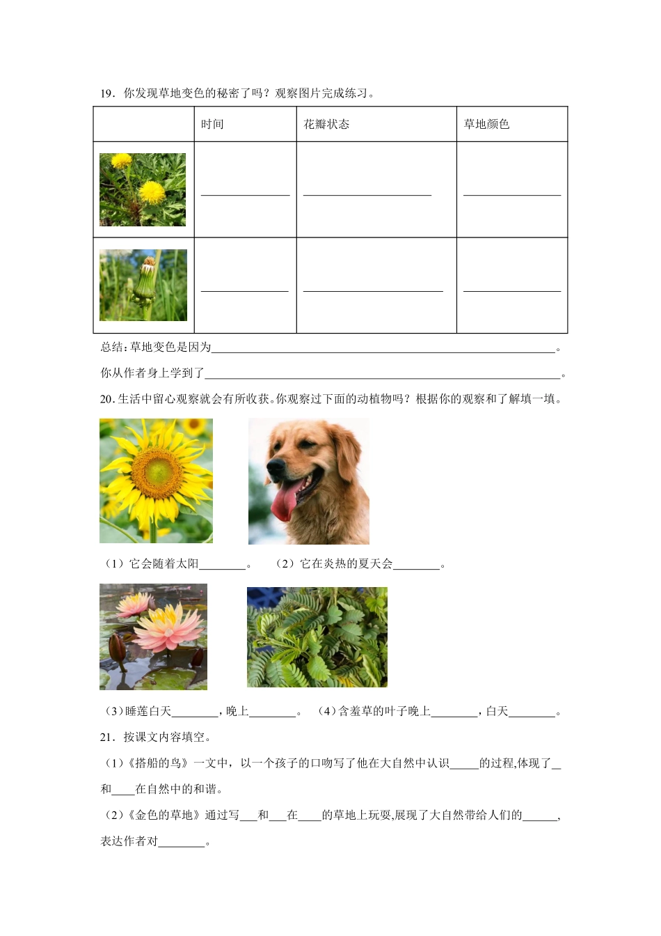 第5单元 闯关必刷03 课文内容与积累运用-统编版语文三年级上册测试练习试卷含答案.pdf_第3页