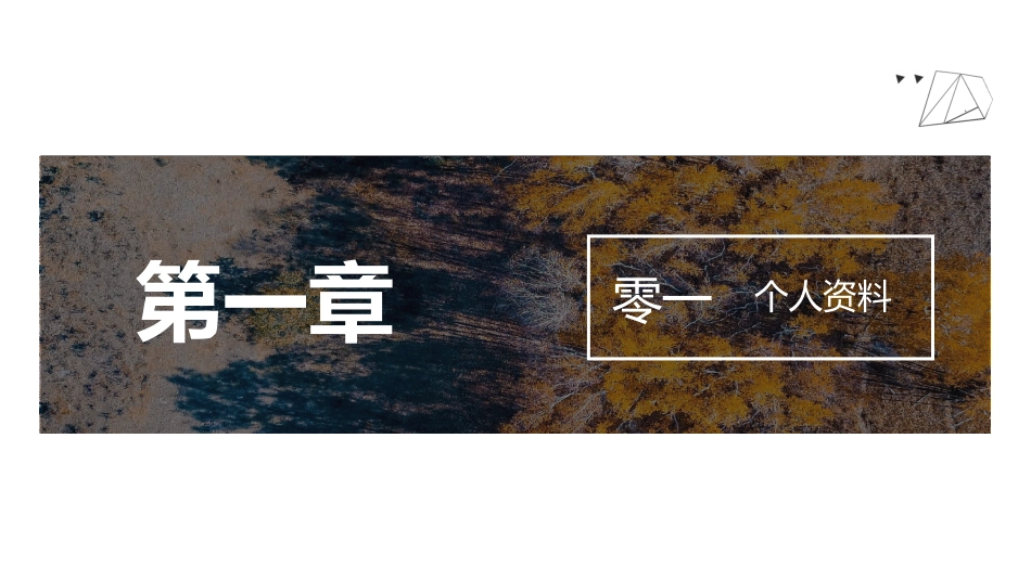 个人简历求职自我介绍65.pptx_第3页