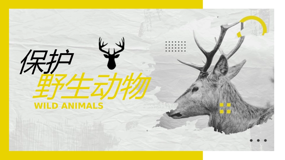动物日保护野生濒危动物46.pptx_第1页