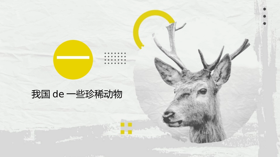 动物日保护野生濒危动物46.pptx_第3页
