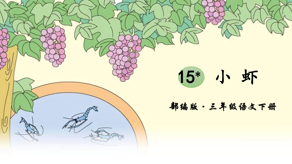 部编版三年级下册语文《小虾》课件8.pptx_第1页