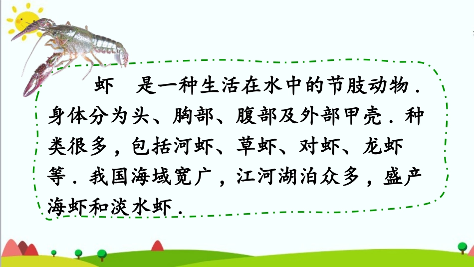 部编版三年级下册语文《小虾》课件8.pptx_第3页