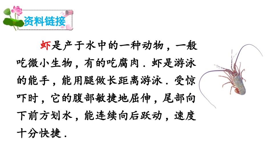 部编版三年级下册语文《小虾》课件7.pptx_第2页