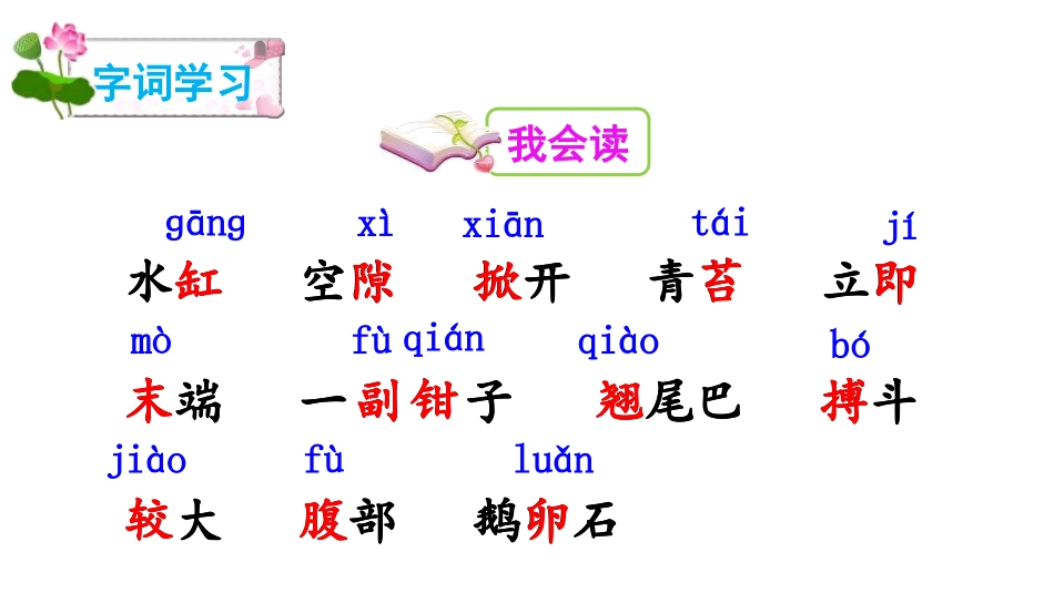 部编版三年级下册语文《小虾》课件7.pptx_第3页