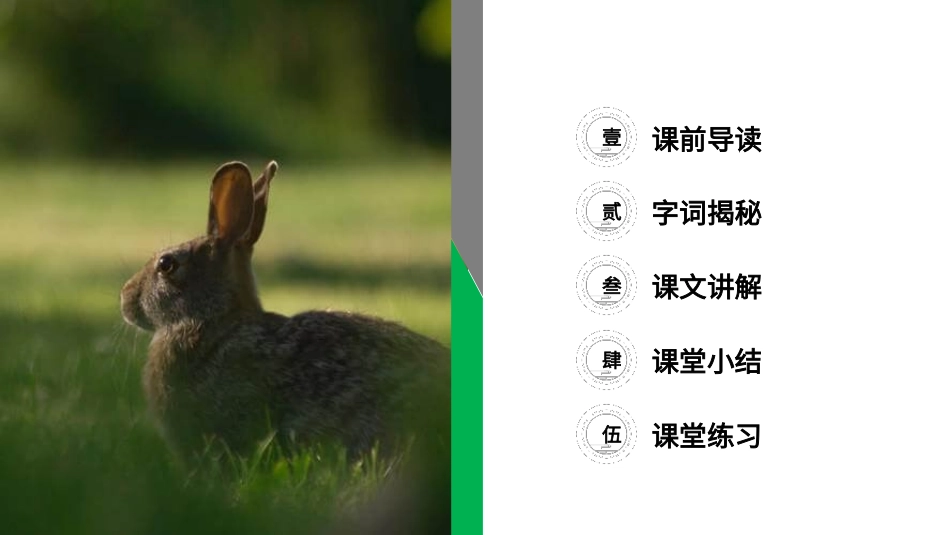 部编版三年级下册语文《守株待兔》PPT课件2.pptx_第2页