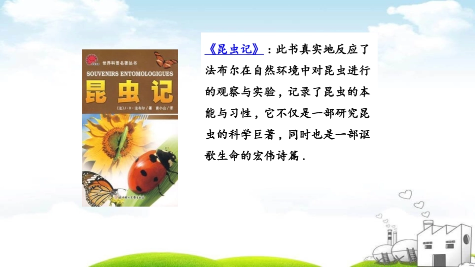 部编版三年级下册语文《蜜蜂》课件6.pptx_第3页