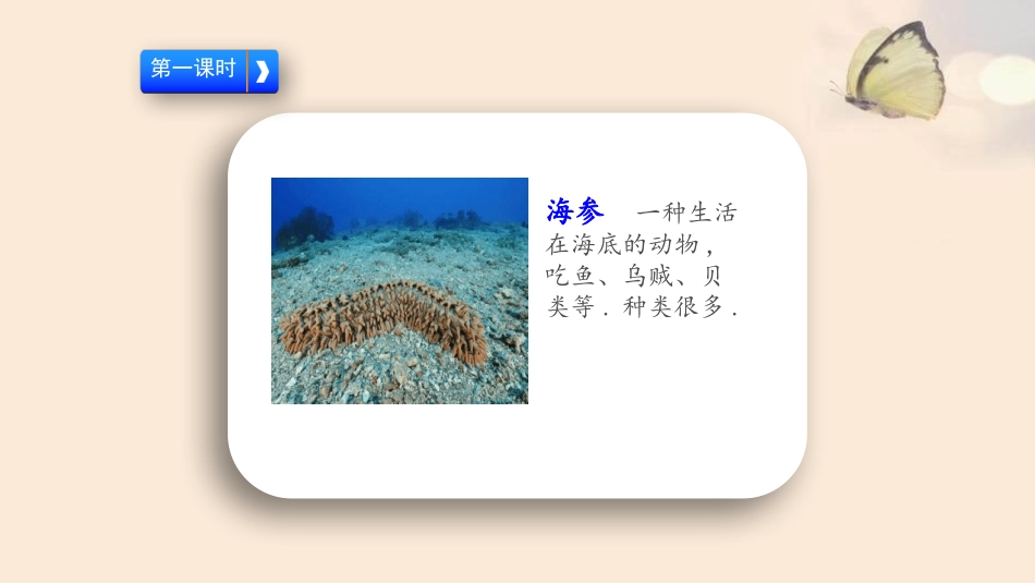 部编版三年级下册语文《海底世界》课件8.pptx_第2页