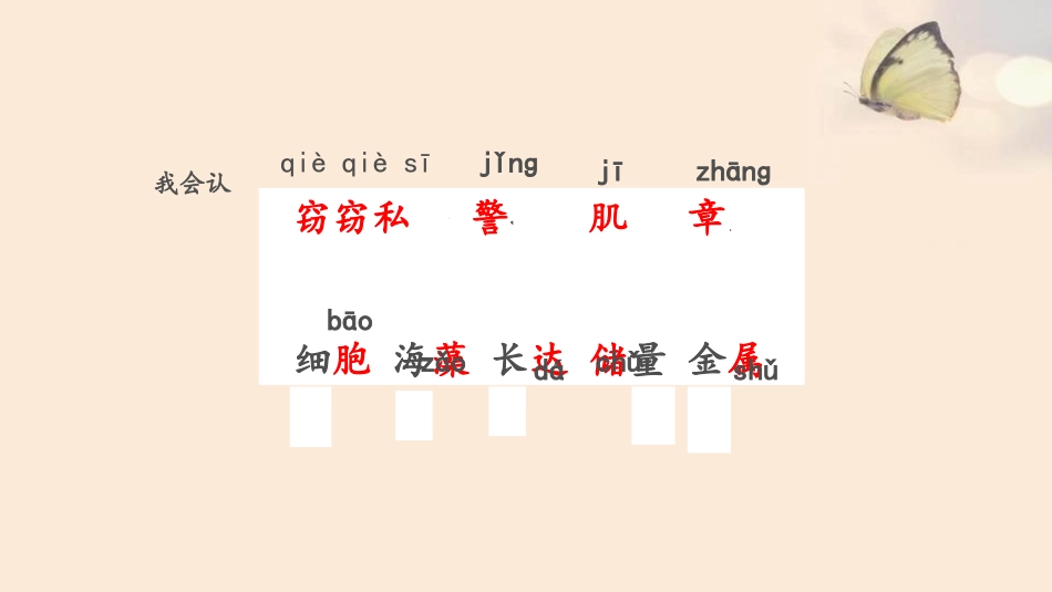 部编版三年级下册语文《海底世界》课件8.pptx_第3页
