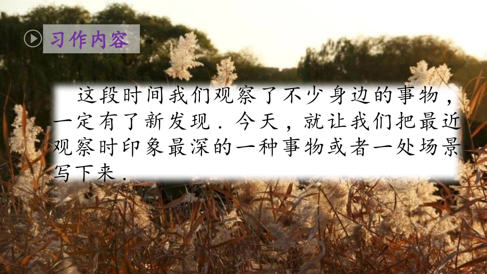 部编版三年级上册语文《我们眼中的缤纷世界》PPT课件5.pptx_第2页