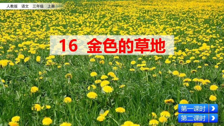 部编版三年级上册语文《金色的草地》课件7.pptx_第1页