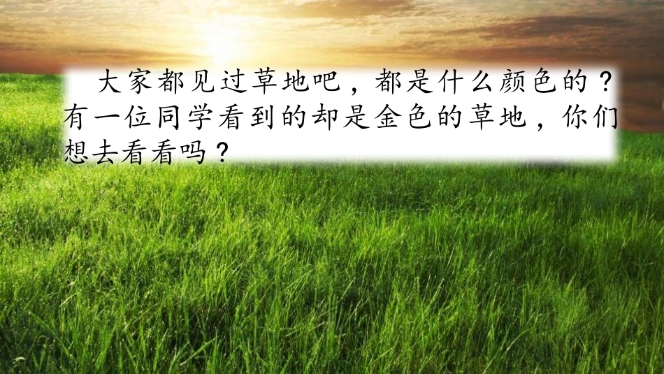 部编版三年级上册语文《金色的草地》课件7.pptx_第2页
