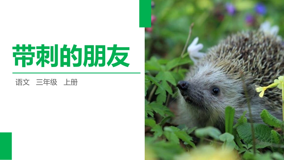 部编版三年级上册语文《带刺的朋友》PPT课件1.pptx_第1页