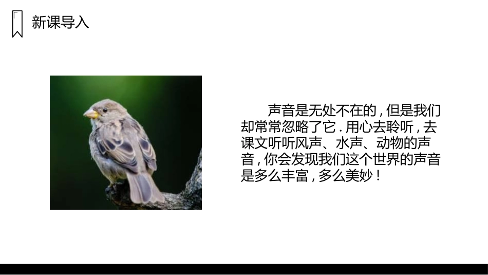部编版三年级上册语文《大自然的声音》PPT课件2.pptx_第2页