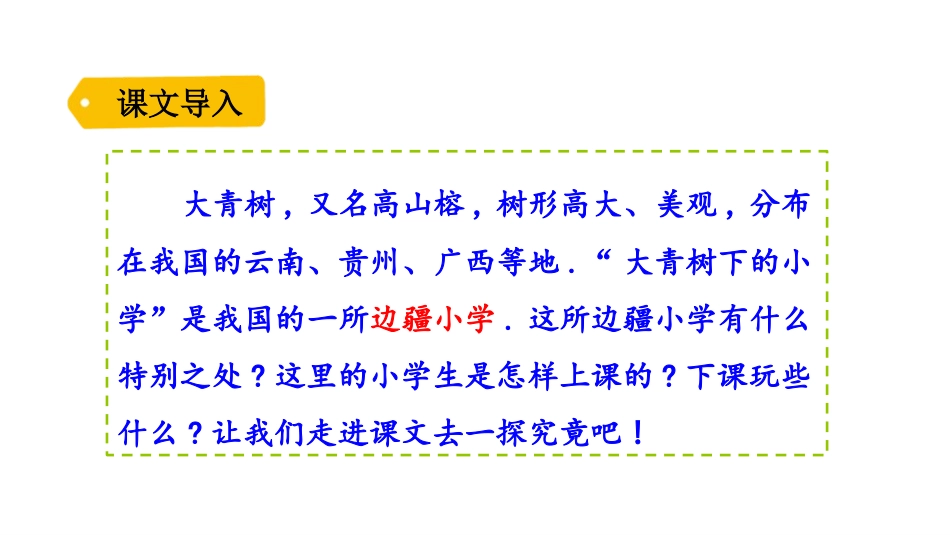 部编版三年级上册语文《大青树下的小学》PPT课件7.pptx_第2页