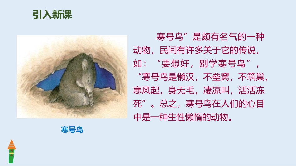 部编版二年级上册语文《寒号鸟》课件8.pptx_第3页