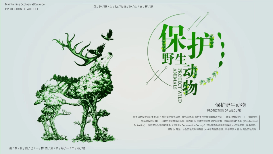 保护野生动物33.pptx_第1页