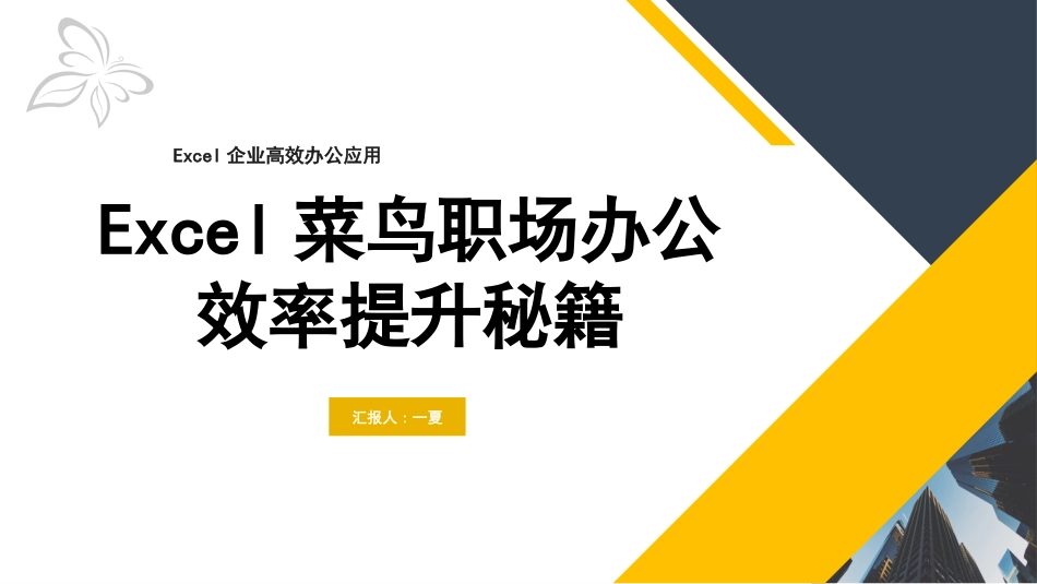 Excel菜鸟职场办公效率提升秘籍2.pptx_第1页
