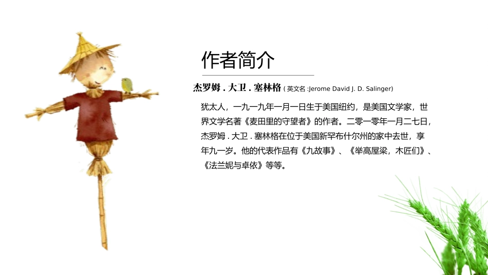 《麦田里的守望者》名著导读好书.pptx_第3页