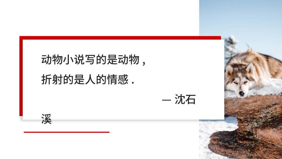 《狼王梦》名著导读好书.pptx_第2页