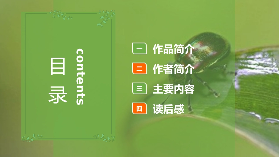 《昆虫记3》名著导读好书.pptx_第2页