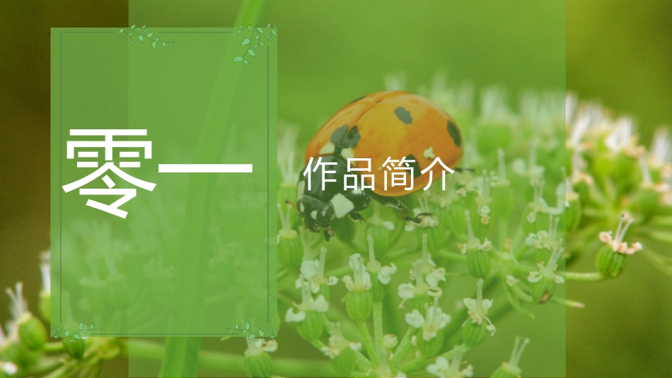 《昆虫记3》名著导读好书.pptx_第3页