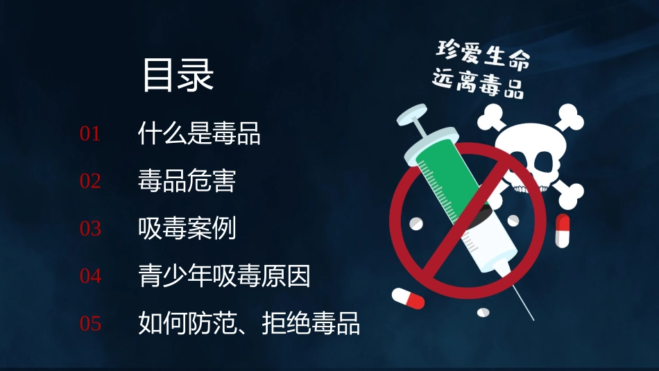 《禁毒日主题班会》班会课件.pptx_第3页