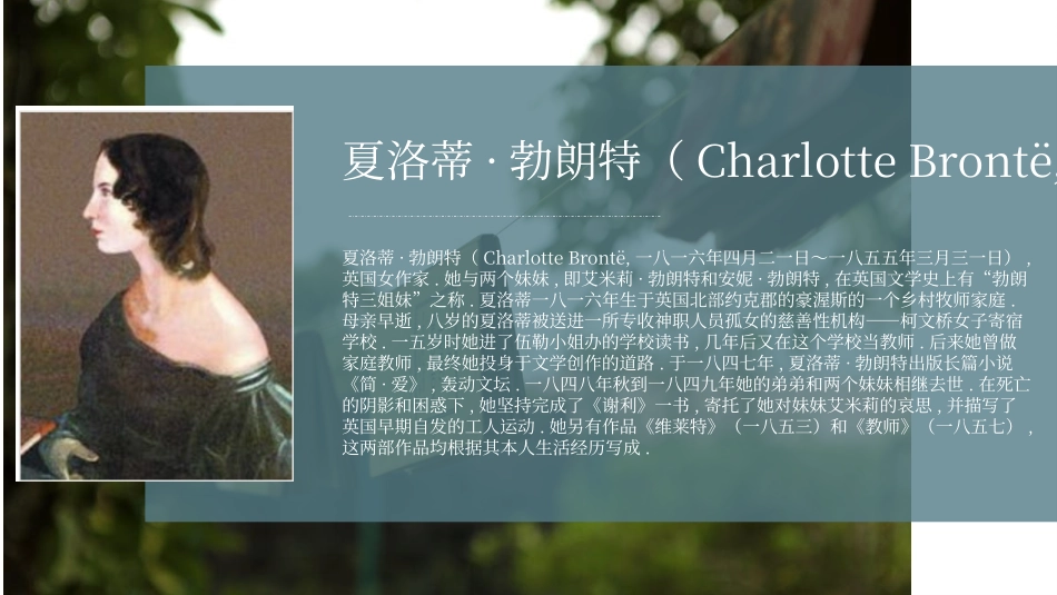 《简爱4》名著导读好书2.pptx_第3页