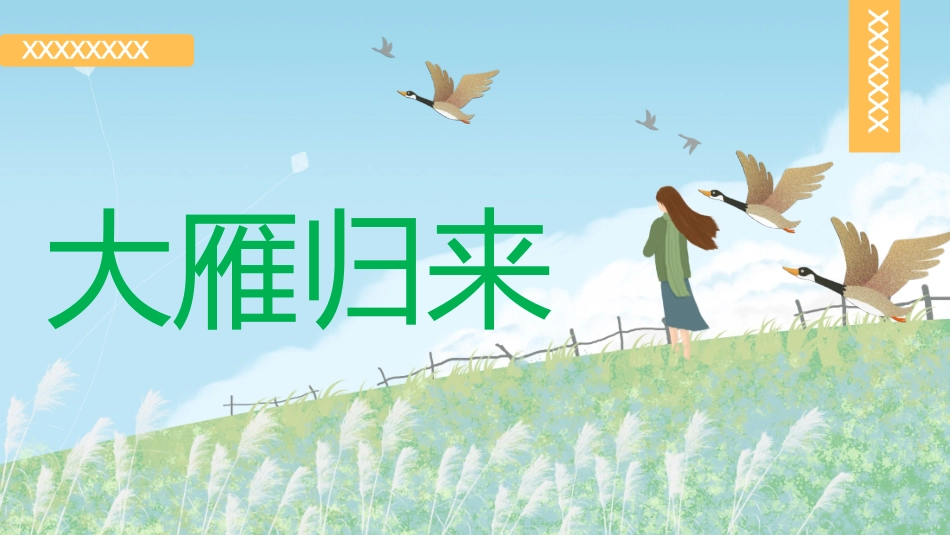 《大雁归来2》名著导读好书.pptx_第1页