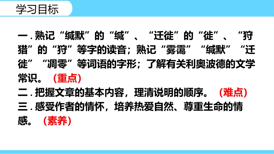 《大雁归来2》名著导读好书.pptx_第3页