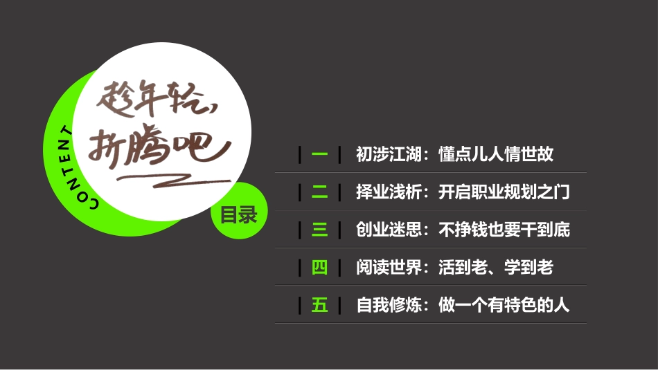 《趁年轻,折腾吧》名著导读好书2.pptx_第2页